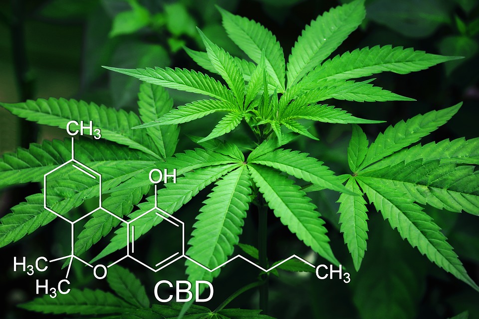 Cannabidinol, CBD, chemische  Formel, Cannabis, Marjjuana