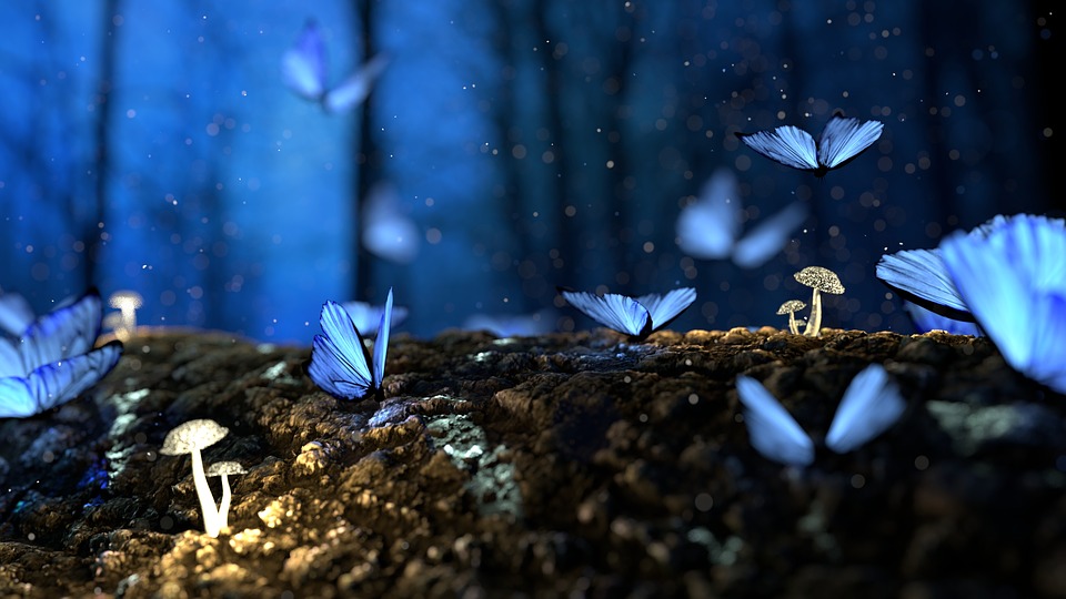 Blaue Schmetterlinge und Pilze im Wald, Traum